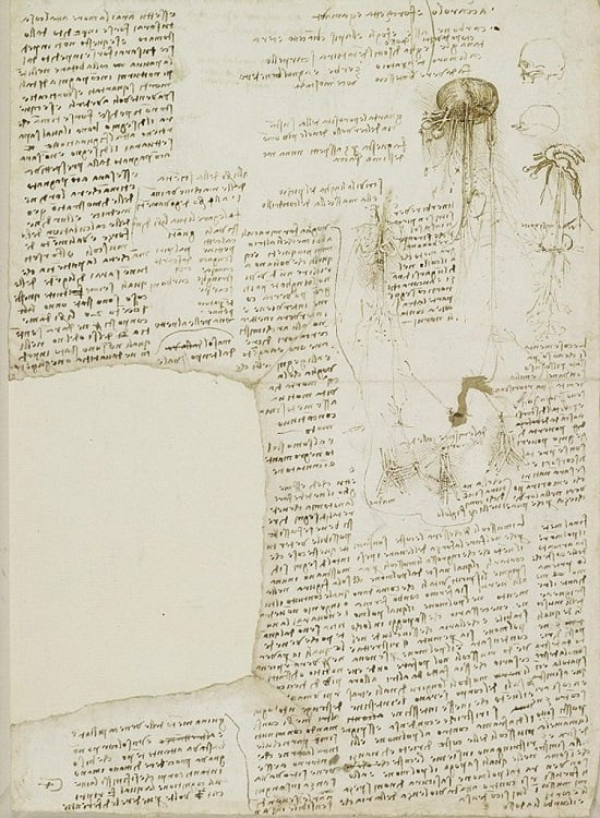 ancient manuscript of davinci's notes