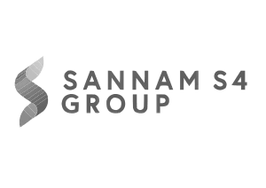 Sannam logo gray